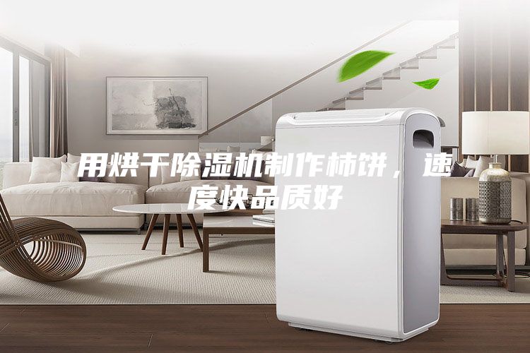 用烘干除濕機(jī)制作柿餅，速度快品質(zhì)好