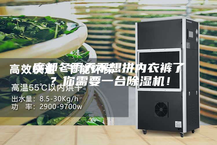 魔都冬雨天不想拼內(nèi)衣褲了？你需要一臺(tái)除濕機(jī)！