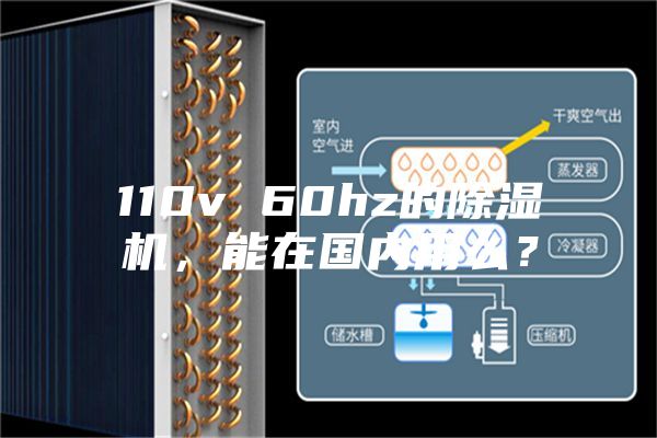 110v 60hz的除濕機，能在國內用么？