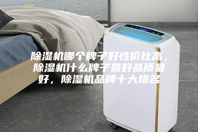 除濕機(jī)哪個牌子好性價(jià)比高，除濕機(jī)什么牌子最好品質(zhì)最好，除濕機(jī)品牌十大排名