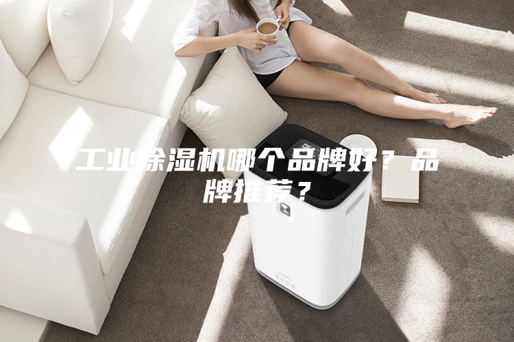 工業(yè)除濕機哪個品牌好？品牌推薦？