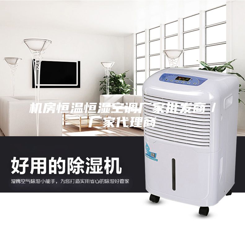 機(jī)房恒溫恒濕空調(diào)廠家批發(fā)商／廠家代理商