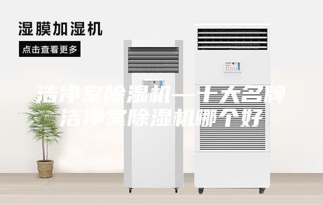 潔凈室除濕機—十大名牌潔凈室除濕機哪個好