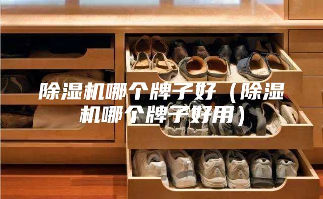除濕機(jī)哪個(gè)牌子好（除濕機(jī)哪個(gè)牌子好用）