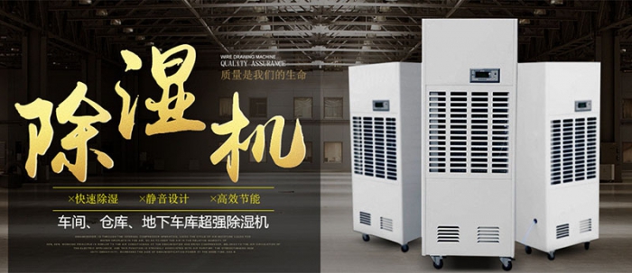 讓爸媽住潮濕的房子，你的良心不會痛嗎！！