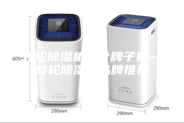 轉(zhuǎn)輪除濕機哪個牌子好—轉(zhuǎn)輪除濕機品牌推薦