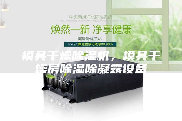 模具干燥除濕機，模具干燥房除濕除凝露設備