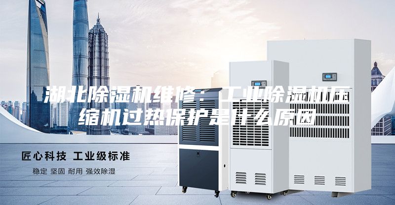 湖北除濕機維修：工業除濕機壓縮機過熱保護是什么原因