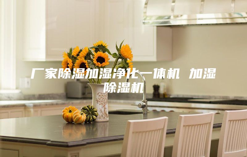 廠家除濕加濕凈化一體機 加濕除濕機